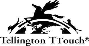 Logo ttouch